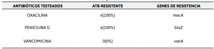 Descripción: C:\Users\jean\Desktop\vive3.PNG