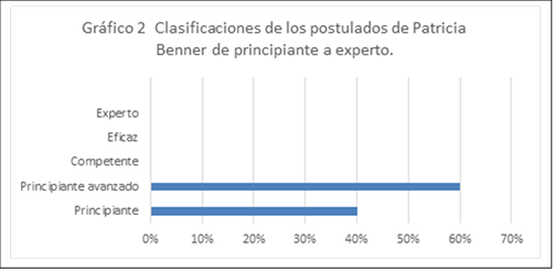 Vista de Teoría y práctica en el desarrollo de las competencias de  enfermería en pediatría | Revista Vive